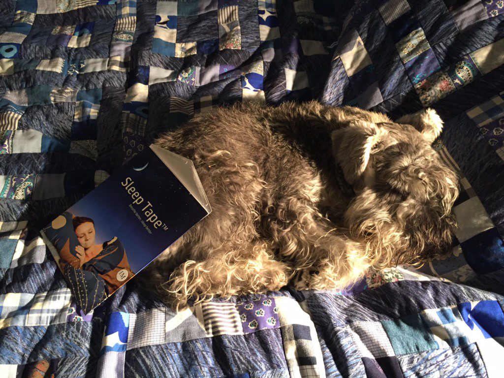 Sovande hund med sleep tape